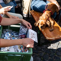 Photocredit: Jonas Fetzger