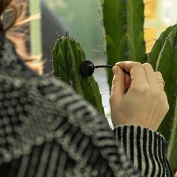 Photocredit: Mehmet Birinci